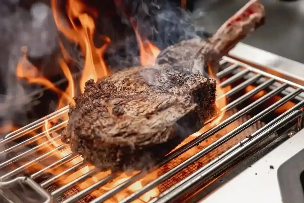 Napoleon Grills Prestige PRO 665 Gas BBQ Grill with Infrared Side & Rear Burners, Stainless Steel - Image 9