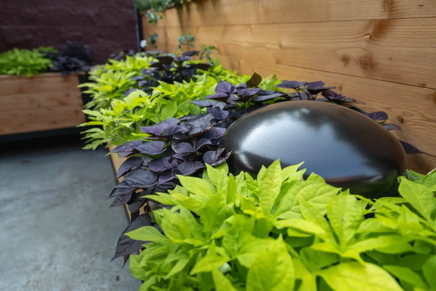 Sonance Patio Series 4.1 Outdoor Audio System - Image 10