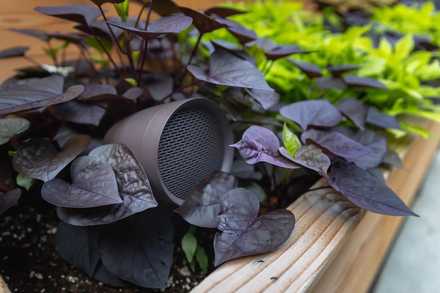 Sonance Patio Series 4.1 Outdoor Audio System - Image 11